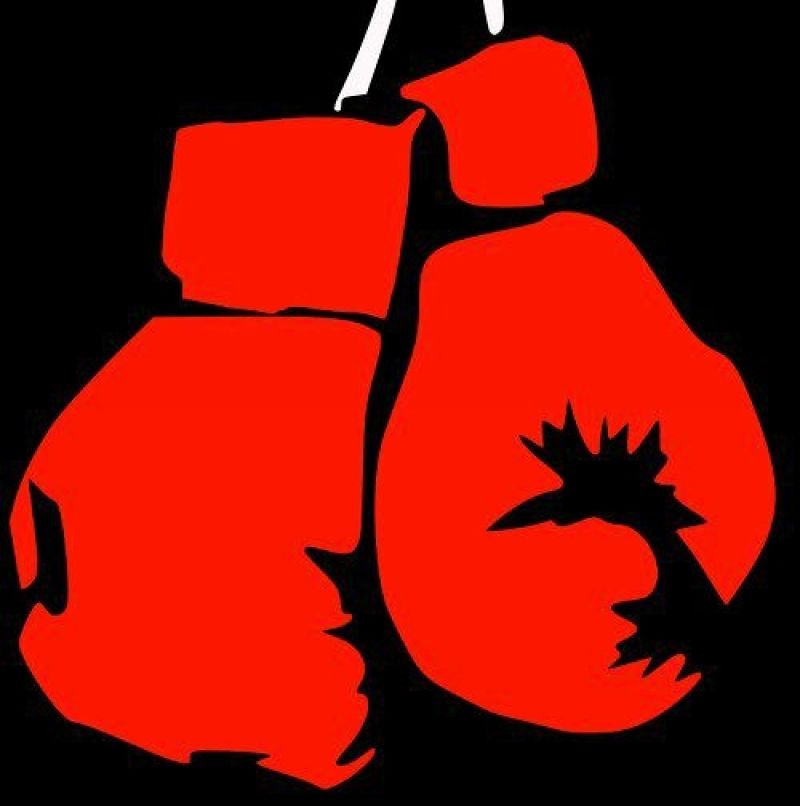 Arena Fight - Jardim Primavera